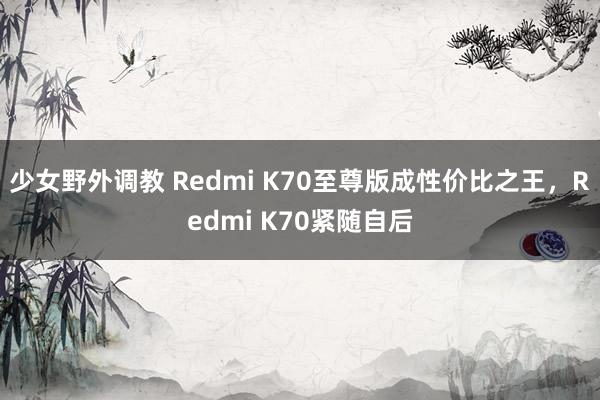 少女野外调教 Redmi K70至尊版成性价比之王，Redmi K70紧随自后