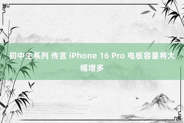 初中生系列 传言 iPhone 16 Pro 电板容量将大幅增多