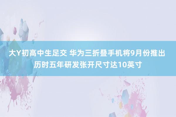 大Y初高中生足交 华为三折叠手机将9月份推出 历时五年研发张开尺寸达10英寸