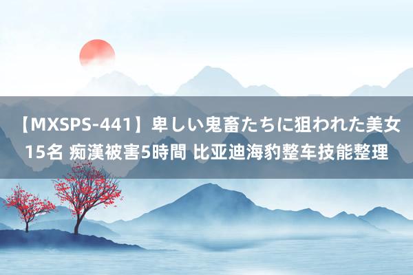 【MXSPS-441】卑しい鬼畜たちに狙われた美女15名 痴漢被害5時間 比亚迪海豹整车技能整理