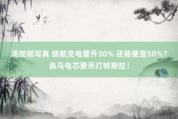 汤加丽写真 续航充电晋升30% 还能便宜50%？良马电芯要吊打特斯拉！