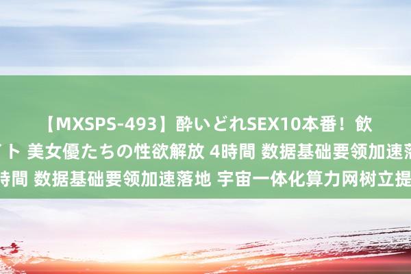 【MXSPS-493】酔いどれSEX10本番！飲んで揉まれてオールナイト 美女優たちの性欲解放 4時間 数据基础要领加速落地 宇宙一体化算力网树立提速