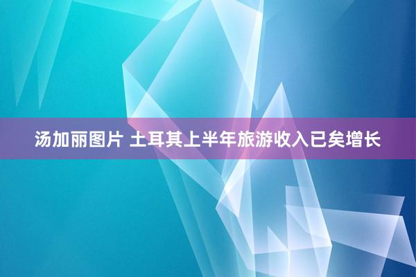 汤加丽图片 土耳其上半年旅游收入已矣增长