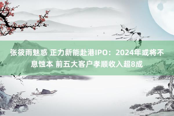 张筱雨魅惑 正力新能赴港IPO：2024年或将不息蚀本 前五大客户孝顺收入超8成