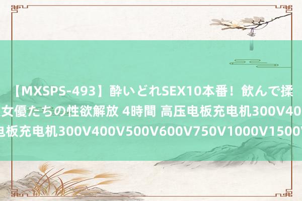 【MXSPS-493】酔いどれSEX10本番！飲んで揉まれてオールナイト 美女優たちの性欲解放 4時間 高压电板充电机300V400V500V600V750V1000V1500V