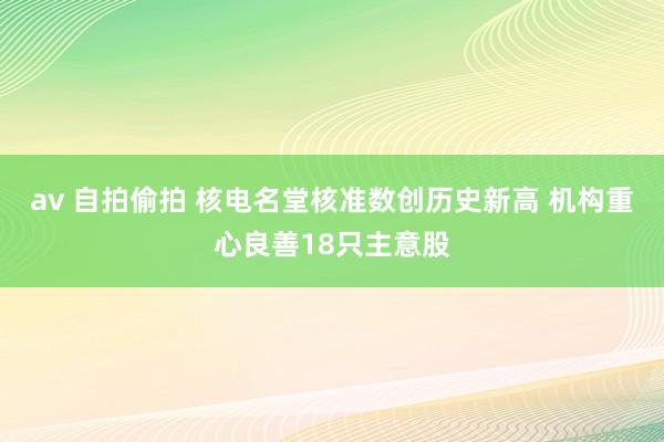 av 自拍偷拍 核电名堂核准数创历史新高 机构重心良善18只主意股