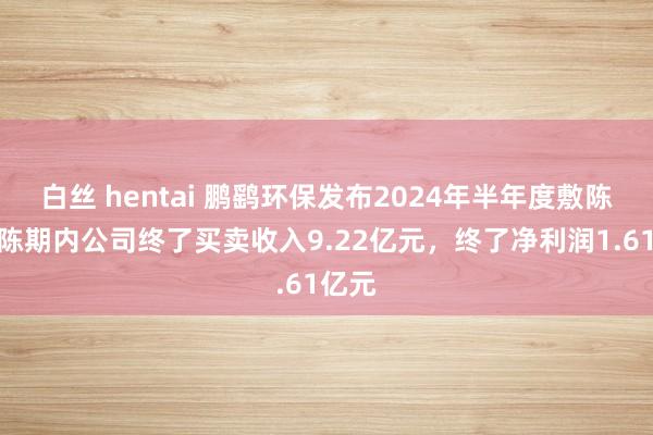 白丝 hentai 鹏鹞环保发布2024年半年度敷陈，敷陈期内公司终了买卖收入9.22亿元，终了净利润1.61亿元