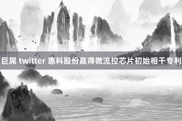 巨屌 twitter 惠科股份赢得微流控芯片初始相干专利