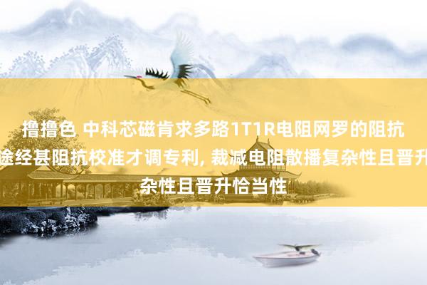 撸撸色 中科芯磁肯求多路1T1R电阻网罗的阻抗校准电途经甚阻抗校准才调专利, 裁减电阻散播复杂性且晋升恰当性